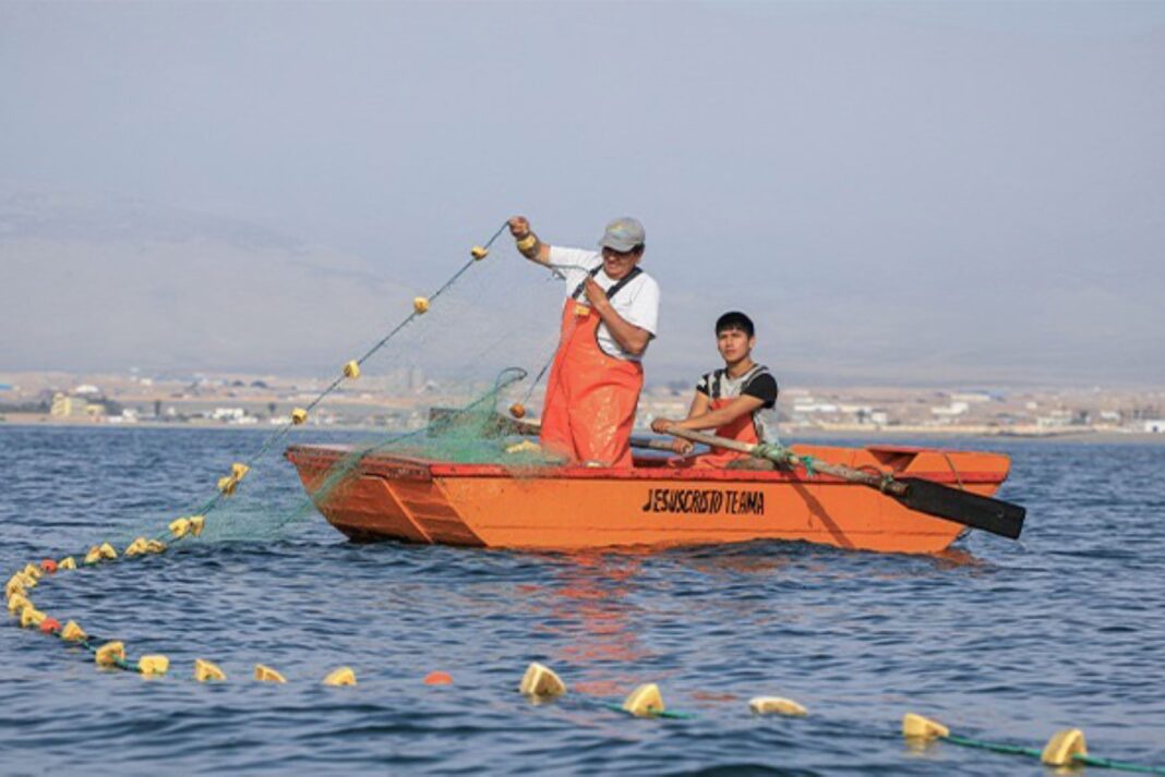 Fondepes reestructurará S/ 49.9 millones en deudas de pescadores y acuicultores a nivel nacional