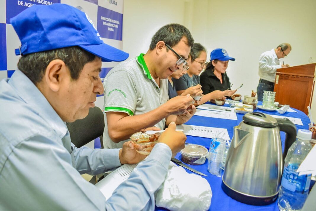 Piura lanza concurso regional para seleccionar su mejor cacao de aroma fino