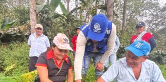 Piura: Capacitan a productores de café en Canchaque para acceder a mercados internacionales Piura: Capacitan a productores de café en Canchaque para acceder a mercados internacionales