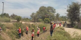 Piura: realizan limpieza de 57 kilómetros de canales y drenes del valle San Lorenzo Piura: realizan limpieza de 57 kilómetros de canales y drenes del valle San Lorenzo