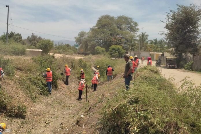 Piura: realizan limpieza de 57 kilómetros de canales y drenes del valle San Lorenzo