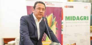 Midagri apuesta por la diversificación agrícola para evitar sobreproducción y caída de precios Midagri apuesta por la diversificación agrícola para evitar sobreproducción y caída de precios