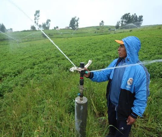 Midagri impulsa histórica inversión en riego tecnificado para fortalecer la agricultura familiar Midagri impulsa histórica inversión en riego tecnificado para fortalecer la agricultura familiar