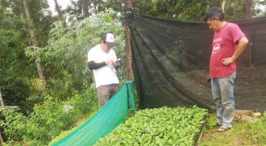Productores de El Faique y Canchaque reciben asistencia técnica para mejorar la calidad del café