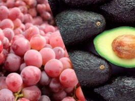 INEI 2025: crecimiento en la producción de uva y palta, y caída de la papa Producción agrícola según INEI: la uva y la palta crecieron, pero la papa cayó