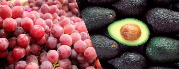 Producción agrícola según INEI: la uva y la palta crecieron, pero la papa cayó