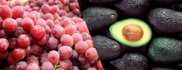 Producción agrícola según INEI: la uva y la palta crecieron, pero la papa cayó