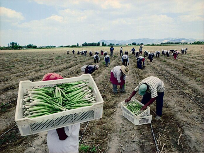 Exportaciones regionales del Perú crecieron 26.9% en el primer cuatrimestre de 2025
