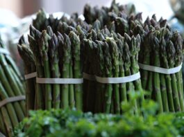 Espárrago peruano crece 42% en exportaciones hasta mayo del 2025 Espárrago peruano crece 42% en exportaciones hasta mayo del 2025