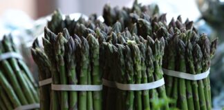 Espárrago peruano crece 42% en exportaciones hasta mayo del 2025 Espárrago peruano crece 42% en exportaciones hasta mayo del 2025