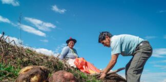 ¿Por qué se celebra el Día del Campesino en Perú? ¿Por qué se celebra el Día del Campesino en Perú?