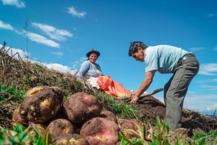 ¿Por qué se celebra el Día del Campesino en Perú?