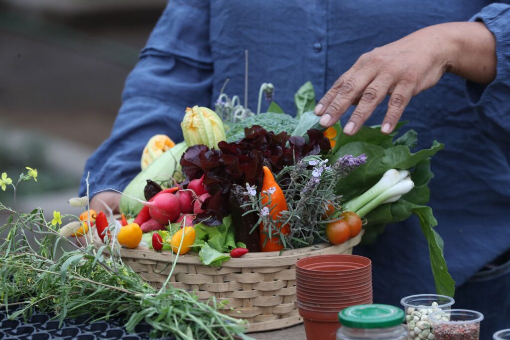 VIDEO | Cómo implementar un biohuerto en casa y acceder a alimentos saludables