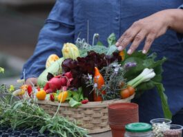 VIDEO | Cómo implementar un biohuerto en casa y acceder a alimentos saludables VIDEO | Cómo implementar un biohuerto en casa y acceder a alimentos saludables