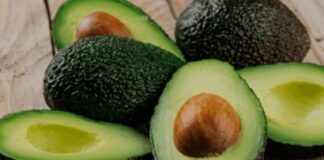 Palta peruana gana terreno en Asia mientras enfrenta sobreoferta en mercados tradicionales Palta peruana gana terreno en Asia mientras enfrenta sobreoferta en mercados tradicionales