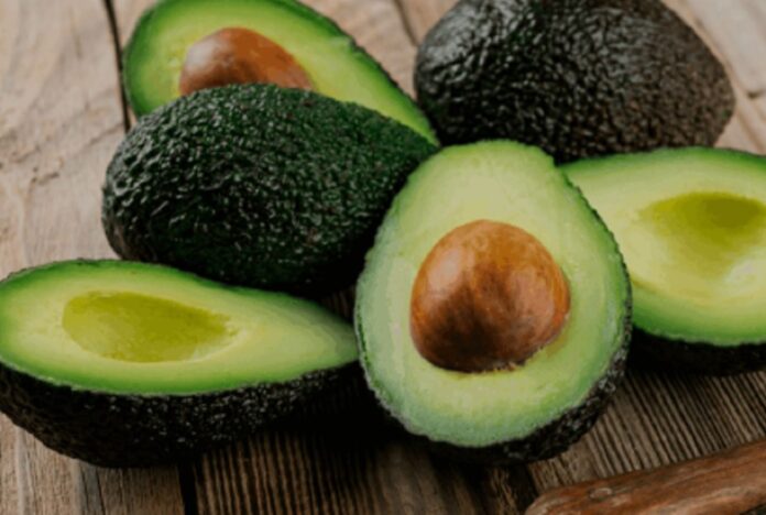 Palta peruana gana terreno en Asia mientras enfrenta sobreoferta en mercados tradicionales