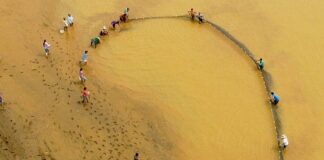 Científicos usan ADN ambiental para monitorear biodiversidad en pozas mineras de Madre de Dios Científicos usan ADN ambiental para monitorear biodiversidad en pozas mineras de Madre de Dios