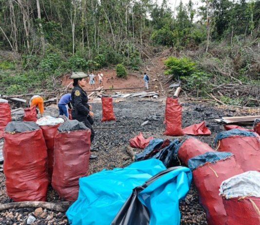 PNP inmoviliza más de 14 toneladas de carbón vegetal ilegal en San Martín PNP inmoviliza más de 14 toneladas de carbón vegetal ilegal en San Martín