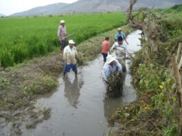Más de 14 mil agricultores acceden a licencias de uso de agua en todo el país Más de 14 mil agricultores acceden a licencias de uso de agua en todo el país