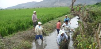 Más de 14 mil agricultores acceden a licencias de uso de agua en todo el país Más de 14 mil agricultores acceden a licencias de uso de agua en todo el país