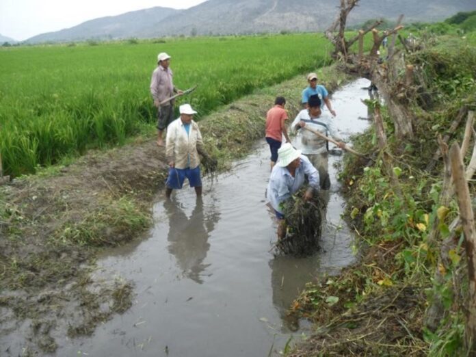 Más de 14 mil agricultores acceden a licencias de uso de agua en todo el país