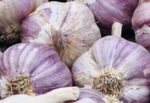 Ajo: beneficios, propiedades y cómo consumirlo correctamente Ajo: beneficios, propiedades y cómo consumirlo correctamente