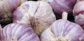 Ajo: beneficios, propiedades y cómo consumirlo correctamente Ajo: beneficios, propiedades y cómo consumirlo correctamente