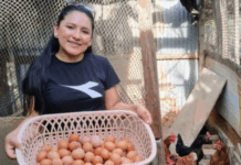 ProInnóvate destina más de S/58 millones en proyectos sostenibles ProInnóvate destina más de S/58 millones en proyectos sostenibles