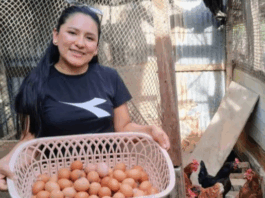 ProInnóvate destina más de S/58 millones en proyectos sostenibles ProInnóvate destina más de S/58 millones en proyectos sostenibles