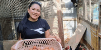 ProInnóvate destina más de S/58 millones en proyectos sostenibles ProInnóvate destina más de S/58 millones en proyectos sostenibles