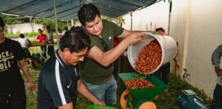Junín: capacitan a productores rurales para mejorar calidad del café y llegar a nuevos mercados Junín: capacitan a productores rurales para mejorar calidad del café y llegar a nuevos mercados