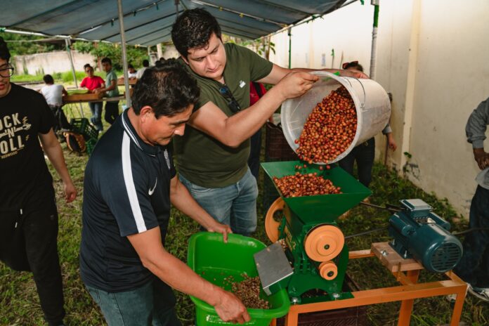 Junín: capacitan a productores rurales para mejorar calidad del café y llegar a nuevos mercados