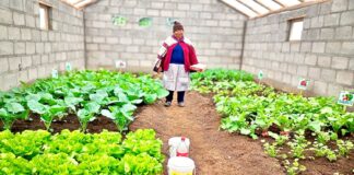 MIDAGRI implementa medidas frente a heladas en 15 regiones del país MIDAGRI implementa medidas frente a heladas en15 regiones del país