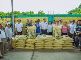 Piura: ejecutan plan para mejorar calidad del mango en Valle de los Incas Piura: ejecutan plan para mejorar calidad del mango en Valle de los Incas