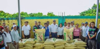 Piura: ejecutan plan para mejorar calidad del mango en Valle de los Incas Piura: ejecutan plan para mejorar calidad del mango en Valle de los Incas