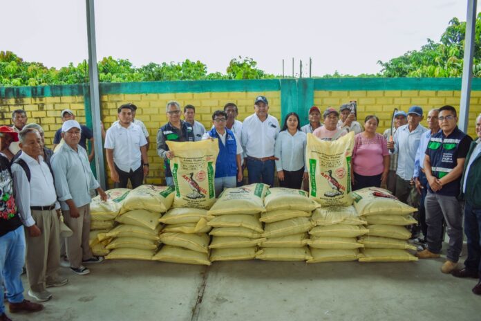 Piura: ejecutan plan para mejorar calidad del mango en Valle de los Incas