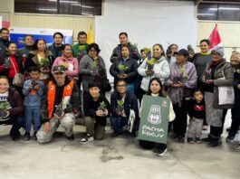 INIA impulsa cultivos hidropónicos en Pachacamac con madres de ollas comunes INIA impulsa cultivos hidropónicos en Pachacamac con madres de ollas comunes