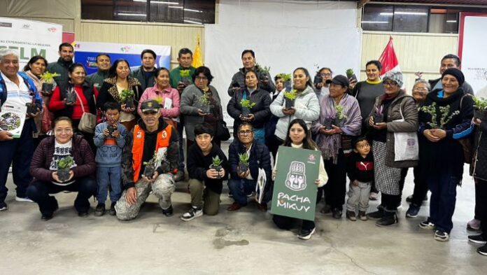 INIA impulsa cultivos hidropónicos en Pachacamac con madres de ollas comunes