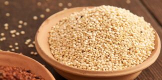 INIA: nuevas variedades de granos andinos incrementan productividad agrícola INIA: nuevas variedades de granos andinos incrementan productividad agrícola