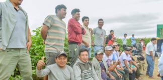 Piura: Rendirán homenaje a productores agrarios por el Día del Campesino Piura: Rendirán homenaje a productores agrarios por el Día del Campesino