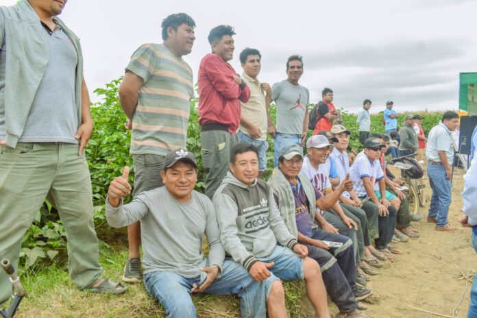 Piura: Rendirán homenaje a productores agrarios por el Día del Campesino