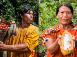 Amazonía peruana aumenta sus exportaciones en 67 % en el primer trimestre de 2025 Amazonía peruana aumenta sus exportaciones en 67 % en el primer trimestre de 2025