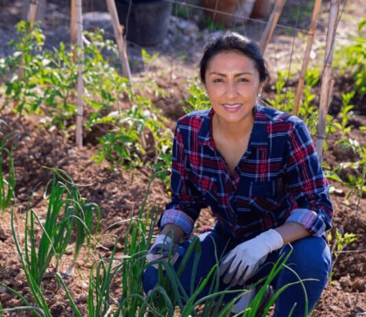 Mercados de carbono: oportunidad clave para una agricultura sostenible en el Perú Mercados de carbono: oportunidad clave para una agricultura sostenible en el Perú