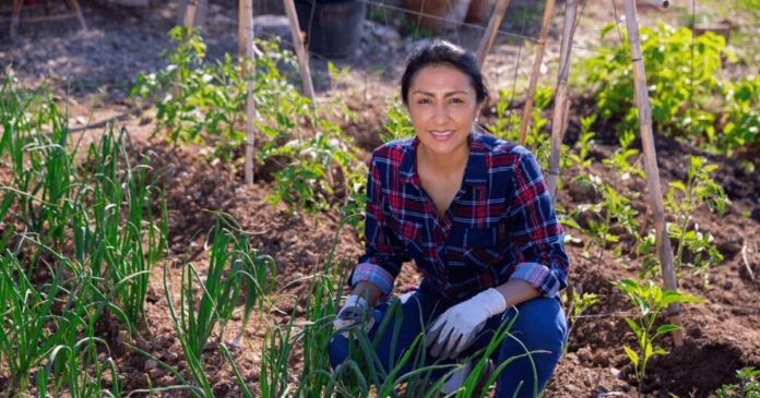 Mercados de carbono: oportunidad clave para una agricultura sostenible en el Perú
