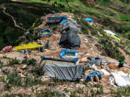 Delincuencia golpea al agro: crimen organizado en zonas agrícolas del país Delincuencia golpea al agro: crimen organizado en zonas agrícolas del país