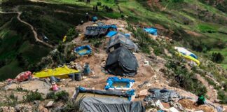 Delincuencia golpea al agro: crimen organizado en zonas agrícolas del país Delincuencia golpea al agro: crimen organizado en zonas agrícolas del país