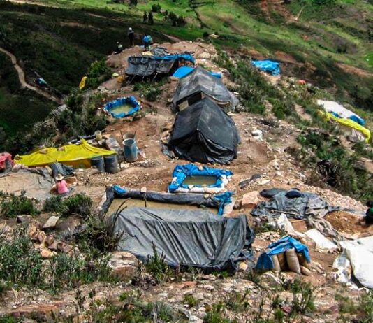 Delincuencia golpea al agro: crimen organizado en zonas agrícolas del país Delincuencia golpea al agro: crimen organizado en zonas agrícolas del país