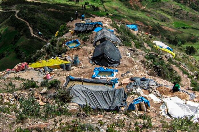 Delincuencia golpea al agro: crimen organizado en zonas agrícolas del país