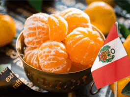 Mandarina peruana: exportación crece 128% en valor durante abril de 2025 Mandarina peruana: exportación crece 128% en valor durante abril de 2025