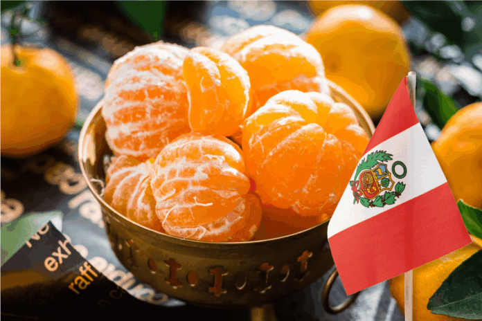 Mandarina peruana: exportación crece 128% en valor durante abril de 2025
